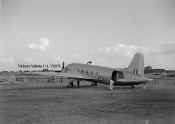 4925.JPG (193433 bytes)